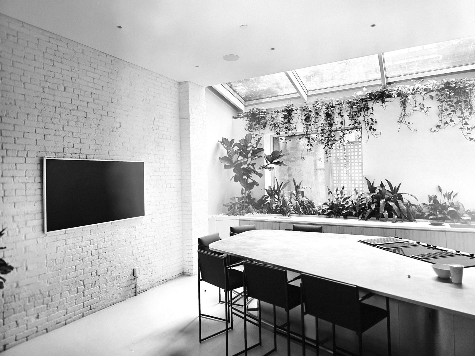 Finished loft kitchen with skylight, planters and TV on painted brick